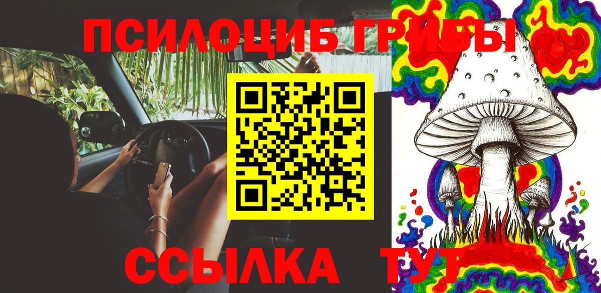 Галлюциногенные грибы Psilocybine cubensis  Вход с VPN  Ярцево 